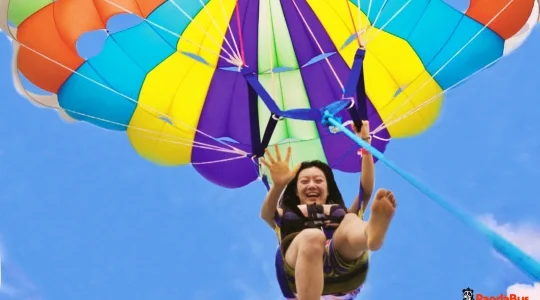 リーフクルーズ _02